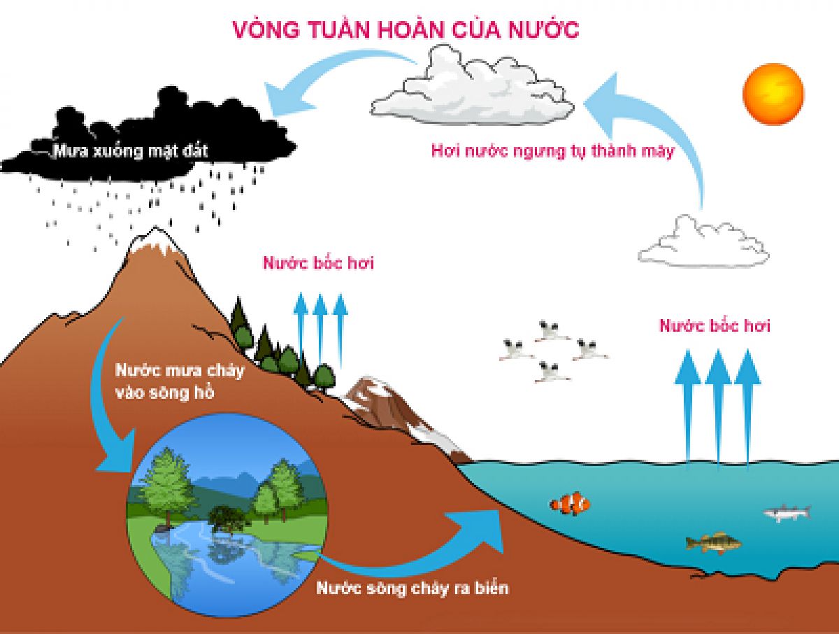 MỐI LO VỀ NGUỒN NƯỚC
